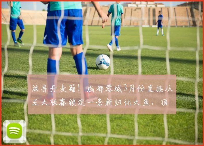 放弃丹麦籍！成都蓉城3月份直接从五大联赛锁定一条新归化大鱼，顶替离队的周定洋成为核心被辟谣_亚冠_杨明洋_1