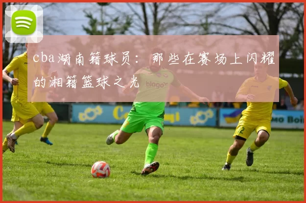 cba湖南籍球员：那些在赛场上闪耀的湘籍篮球之光